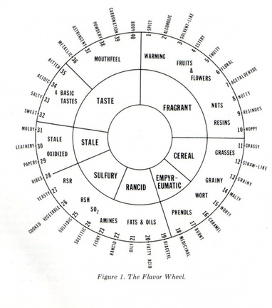 The beer flavor wheel